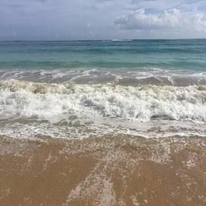 Meet your Posher, Ann